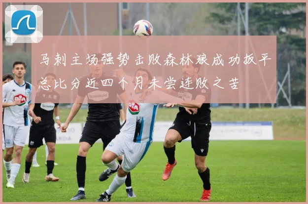 马刺主场强势击败森林狼成功扳平总比分近四个月未尝连败之苦