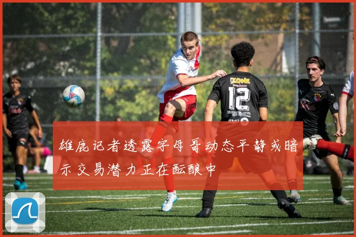 雄鹿记者透露字母哥动态平静或暗示交易潜力正在酝酿中