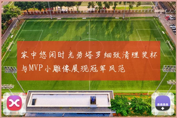 家中悠闲时光劳塔罗细致清理奖杯与MVP小雕像展现冠军风范