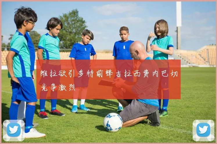 维拉欲引多特前锋吉拉西费内巴切竞争激烈